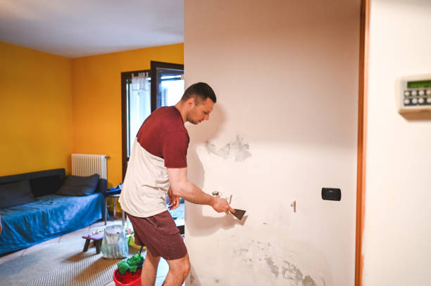 Best Basement Mold Remediation in Corning, NY